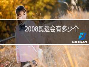 2008奥运会有多少个项目