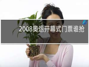 2008奥运开幕式门票谁抢