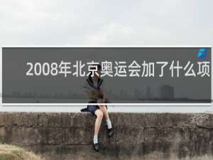 2008年北京奥运会加了什么项目