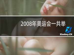 2008年奥运会一共举行了多少天