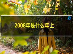 2008年是什么年上半年有几天（2008年是什么鼠）