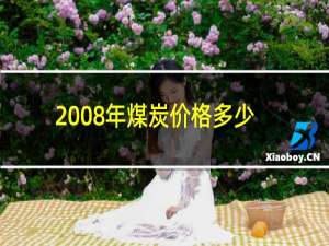 2008年煤炭价格多少钱一吨