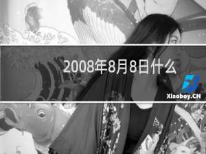 2008年8月8日什么举办第29届奥运会