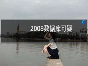 2008数据库可疑