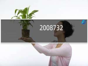2008732