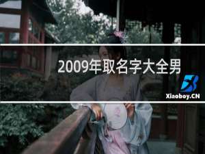 2009年取名字大全男孩