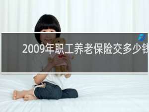 2009年职工养老保险交多少钱