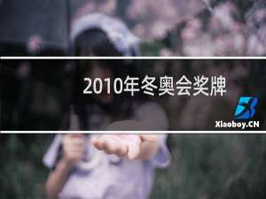 2010年冬奥会奖牌榜（2010年冬奥会）