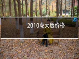 2010虎大版价格
