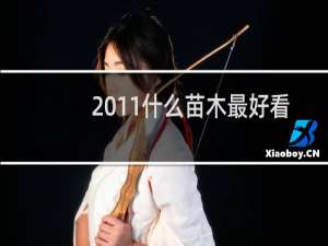 2011什么苗木最好看