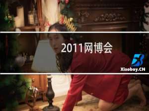 2011网博会