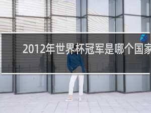 2012年世界杯冠军是哪个国家