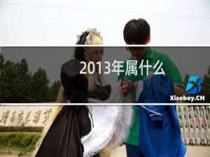 2013年属什么