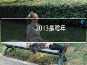 2013是啥年