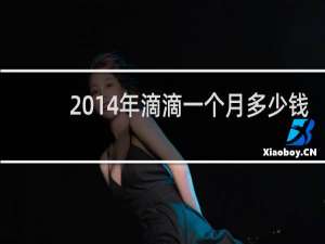 2014年滴滴一个月多少钱