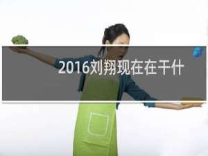 2016刘翔现在在干什么