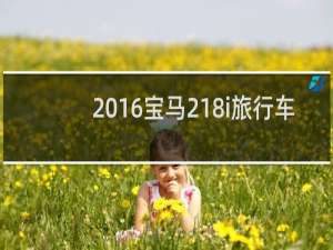 2016宝马218i旅行车