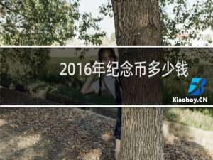 2016年纪念币多少钱