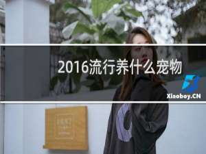 2016流行养什么宠物