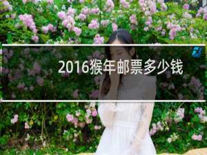 2016猴年邮票多少钱