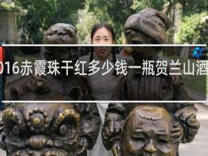 2016赤霞珠干红多少钱一瓶贺兰山酒庄2016