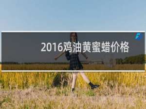 2016鸡油黄蜜蜡价格