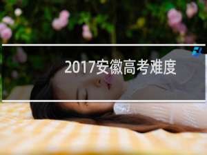 2017安徽高考难度