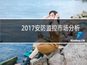 2017安防监控市场分析