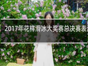 2017年花样滑冰大奖赛总决赛表演滑