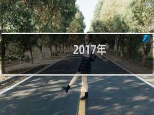 2017年，元旦节闪屏欣赏～