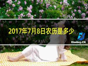 2017年7月8日农历是多少