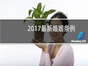 2017最新婚姻条例