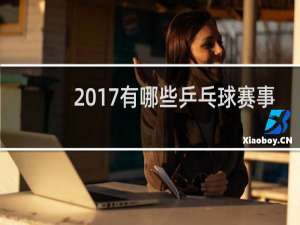 2017有哪些乒乓球赛事