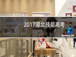 2017湖北技能高考