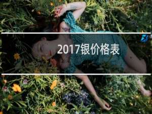 2017银价格表