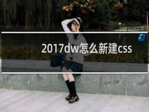 2017dw怎么新建css
