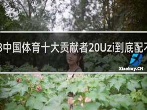 2018中国体育十大贡献者 Uzi到底配不配什么梗
