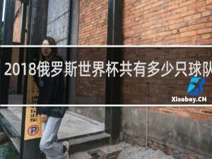 2018俄罗斯世界杯共有多少只球队参加