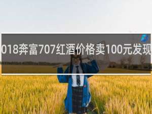 2018奔富707红酒价格卖100元发现怎么办