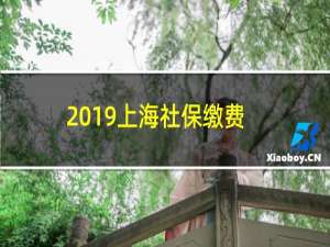 2019上海社保缴费基数公布（2019上海社保基数）