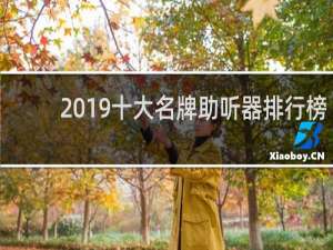 2019十大名牌助听器排行榜