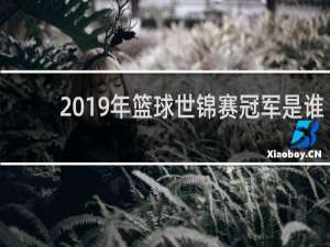 2019年篮球世锦赛冠军是谁