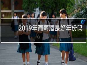 2019年葡萄酒是好年份吗