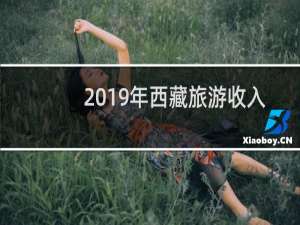2019年西藏旅游收入