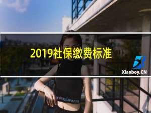 2019社保缴费标准表恩施（2019社保缴费标准个人）