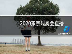 2020东京残奥会直播吗