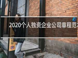 2020个人独资企业公司章程范本