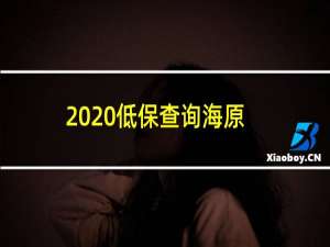 2020低保查询海原县（2020低保查询）