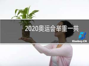 2020奥运会举重一共多少金牌