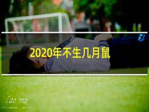 2020年不生几月鼠（有什么说法）